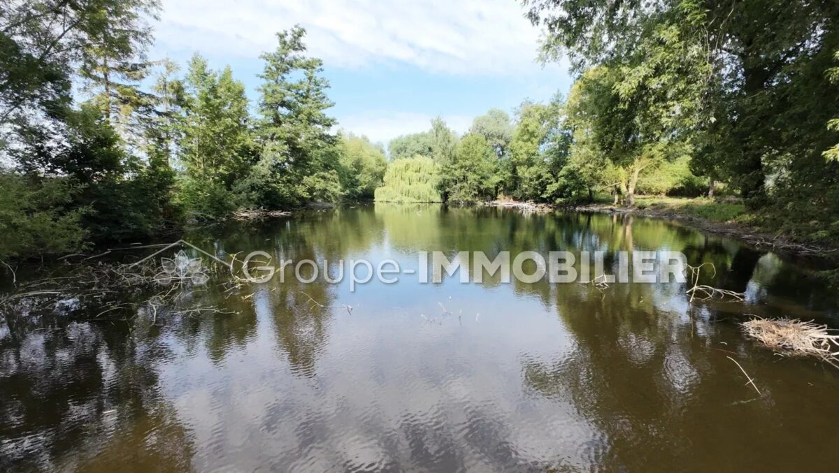 (Ref.461) À vendre : terrain de loisir d’une superficie d’environ 1 hectare Wandignies-Hamages – Image 10