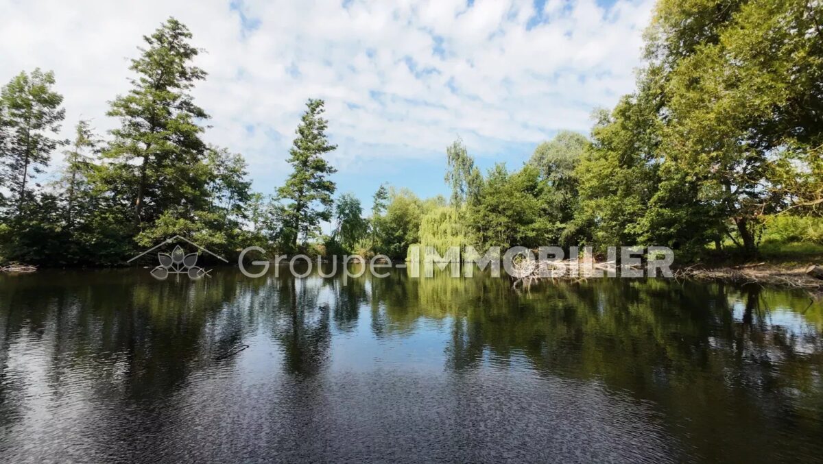 (Ref.461) À vendre : terrain de loisir d’une superficie d’environ 1 hectare Wandignies-Hamages – Image 6
