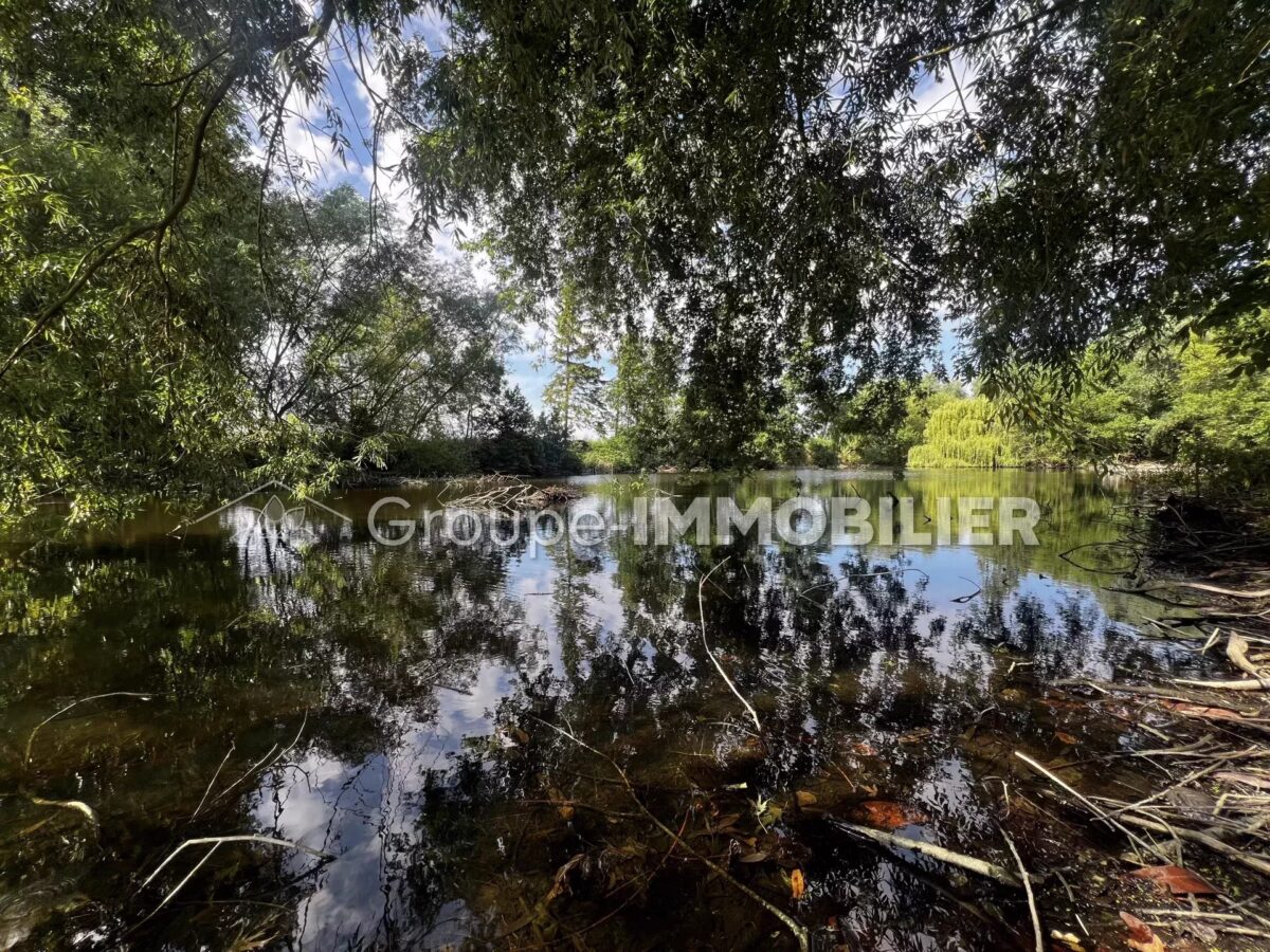 (Ref.461) À vendre : terrain de loisir d’une superficie d’environ 1 hectare Wandignies-Hamages – Image 12