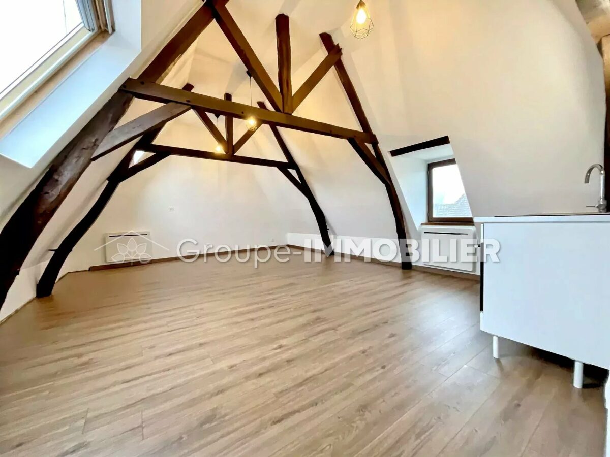 (Ref.523) À louer : Grand studio rénové à Marchiennes – Dernier étage, proche commodités ! – 1 PIÈCES – 25 m² – MARCHIENNES – Image 2