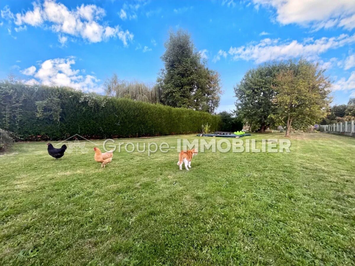 (Ref.512) À vendre – Maison individuelle semi plain-pied à Lewarde – 3 PIÈCES – 114 m² – LEWARDE – Image 3